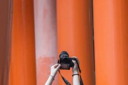 10 Tips To take Better Photographs