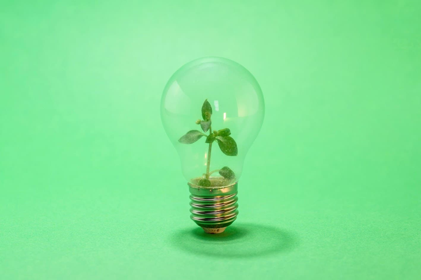 10 Ways To Go Green