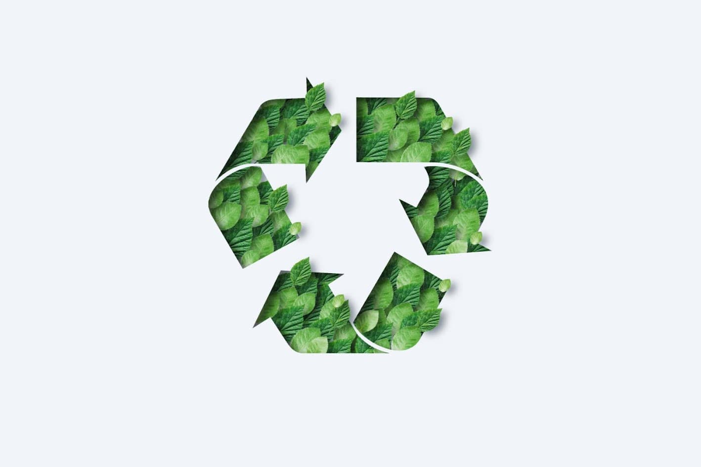 Global Eco Movements