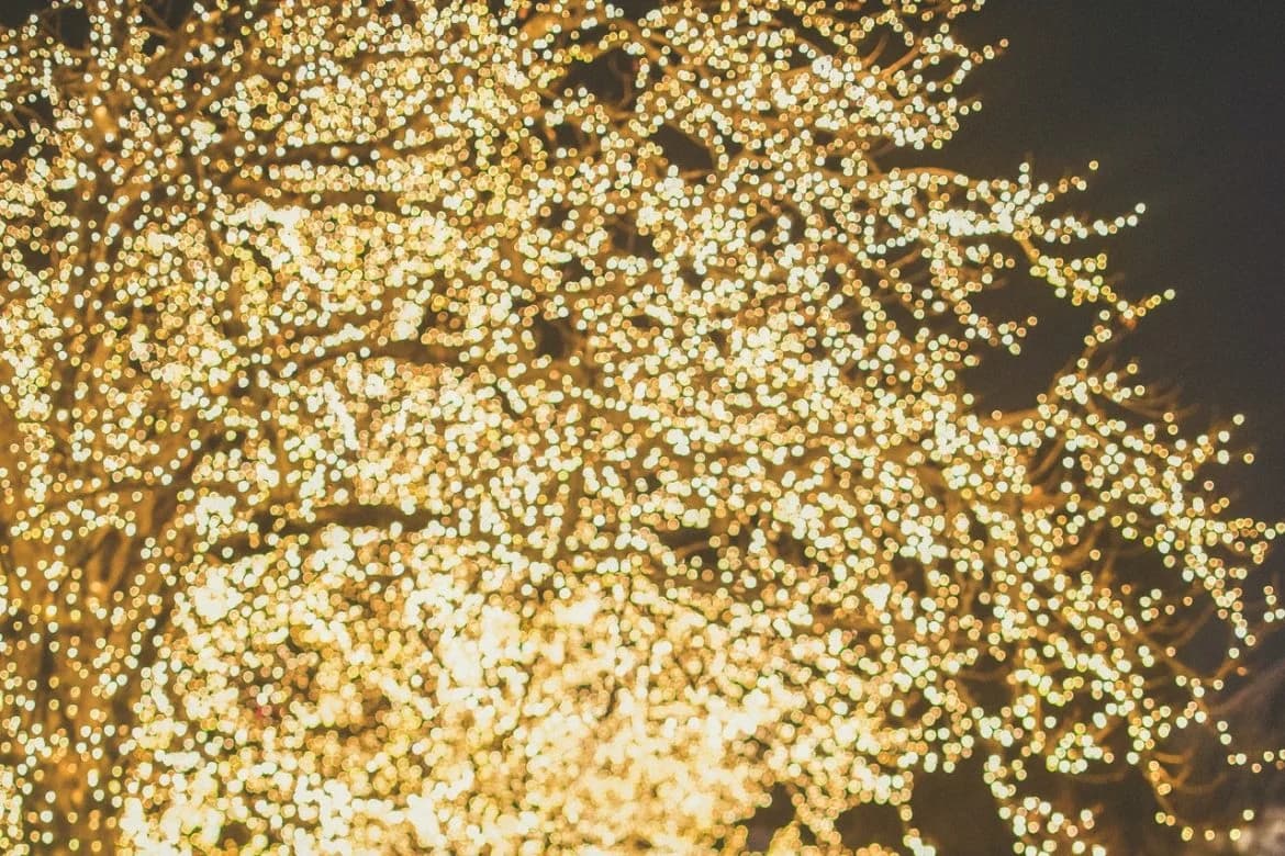 Biggest fashion night rolled with Bling