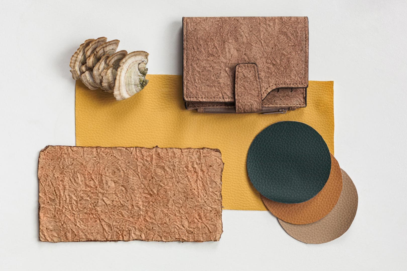 How Science is Crafting the Next-Gen Eco-Friendly Fashion Materials