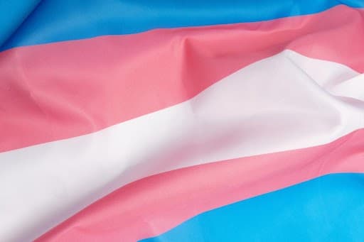 International Transgender Day of Visibility